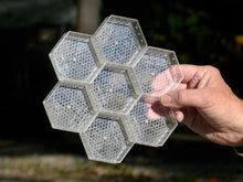 Load image into Gallery viewer, Case of Comb Honey Cups